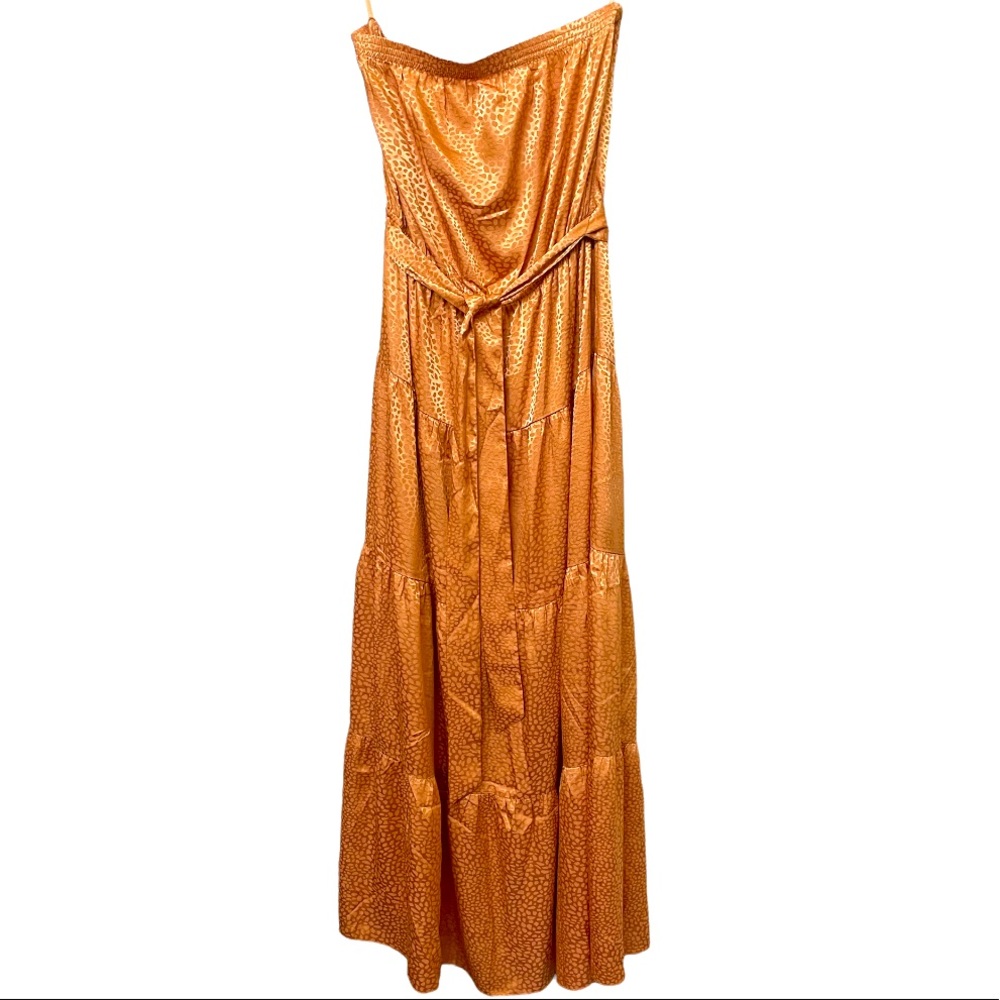 Strapless Maxi Dress Ginger Sheen Cheetah Print Size Large